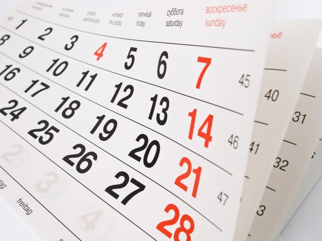Calendario Fiscal Noviembre 2022
